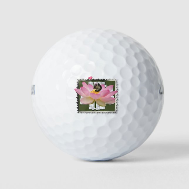 Baby Squirrel  Golf Balls (Front)