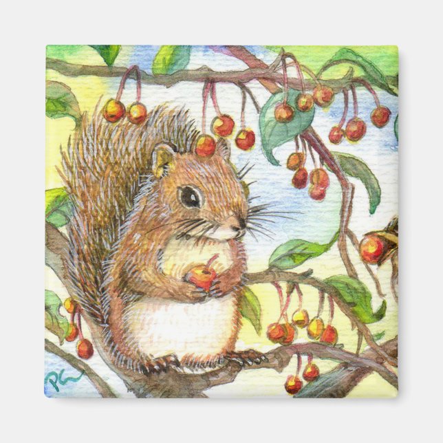 Baby Squirrel Magnet (Front)