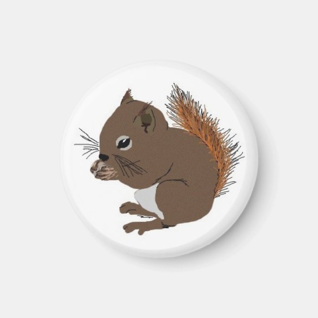 Baby Squirrel Magnet (Front)