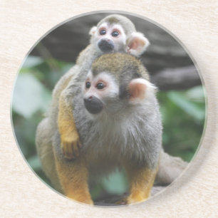 Baby Squirrel Monkey  Coaster