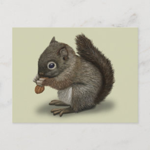 Baby Squirrel Postcard