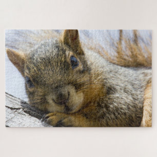 baby squirrel puzzle