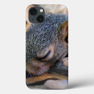 Baby Squirrel Sleeping iPhone 13 Case