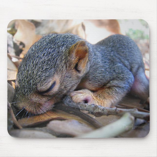 Baby Squirrel Sleeping Mouse Pad (Front)