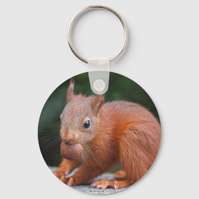 Baby Squirrel with Nut Keyring (Front)