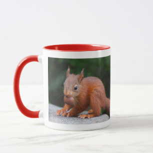 Baby Squirrel with Nut Mug