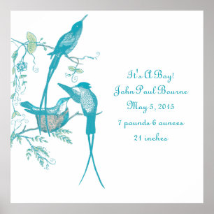 Baby Stats It's A Boy! New Baby Announcement Poster