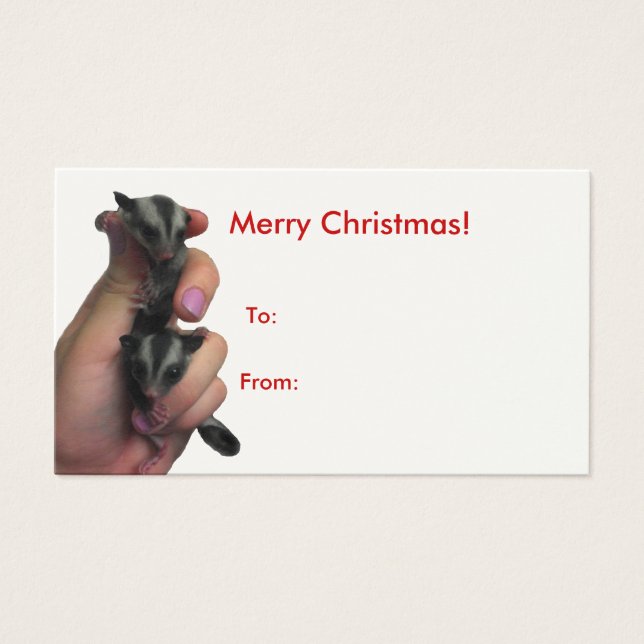 Baby Sugar Gliders Merry Christmas Big Tag (Front)