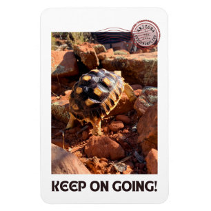 Baby Sulcata hiking in Sedona Red Rocks Arizona Magnet