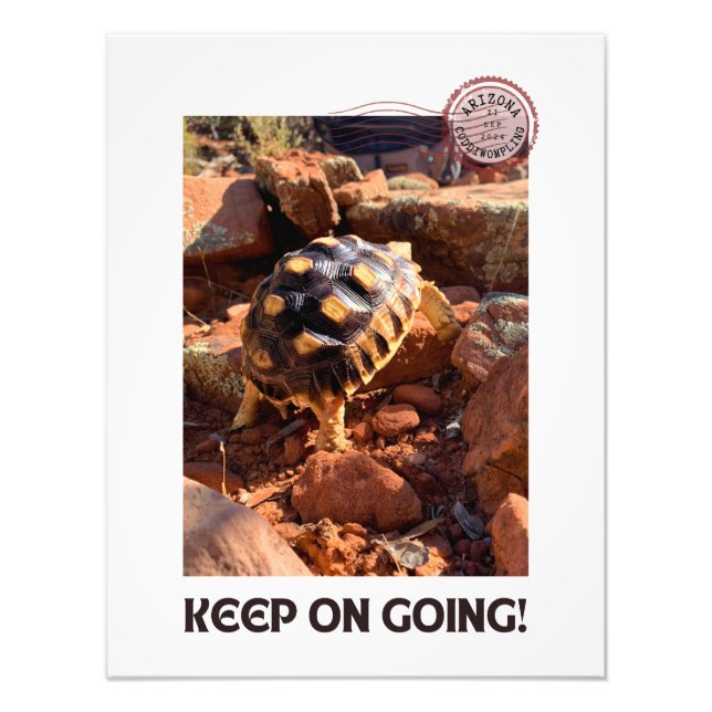 Baby Sulcata hiking in Sedona Red Rocks Arizona Photo Print (Front)