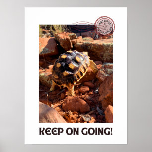 Baby Sulcata hiking in Sedona Red Rocks Arizona Poster