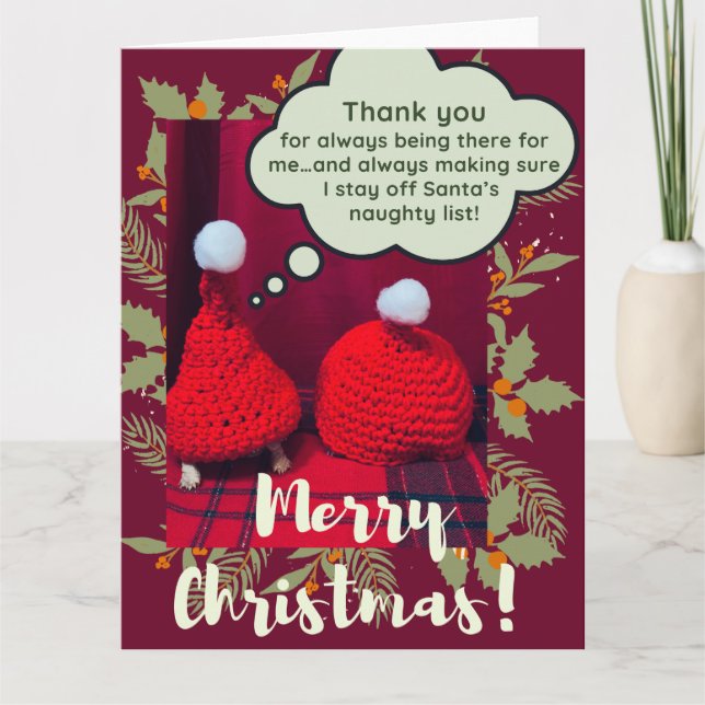 Baby Sulcata Tortoise Best Friends Funny Christmas Card (Front)