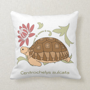 Baby Sulcata Tortoise Pillow