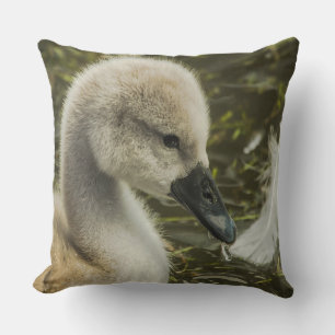 Baby Swan And Feather Cushion