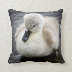 Baby Swan   Cygnet Cushion