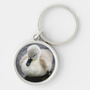 Baby Swan   Cygnet Key Ring