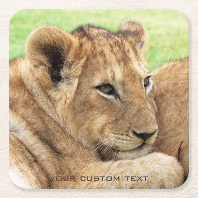 Baby Tiger custom coasters (Front)