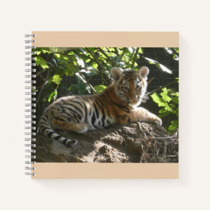 Baby Tiger in the Sun Notebook