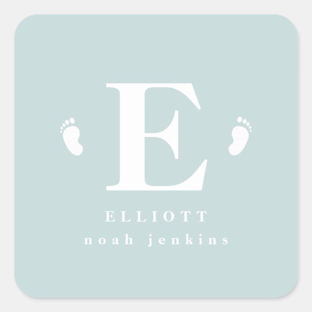 baby toes initial birth announcement stickers (Front)