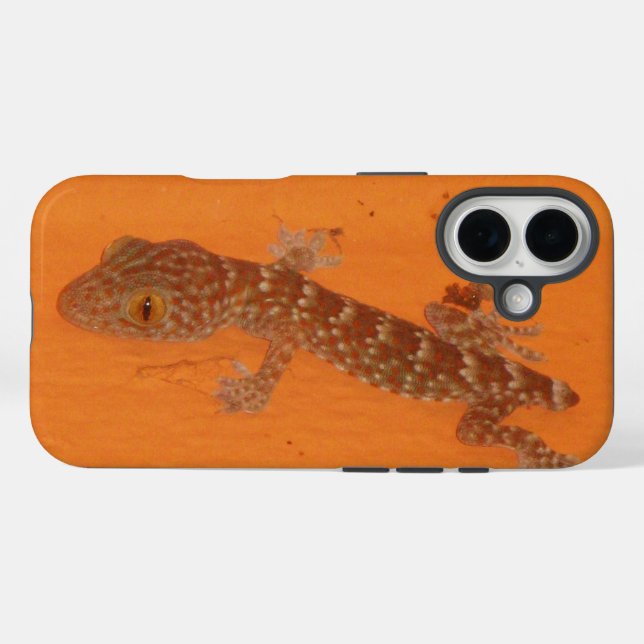 Baby Tokay Gecko Case-Mate iPhone Case (Back (Horizontal))