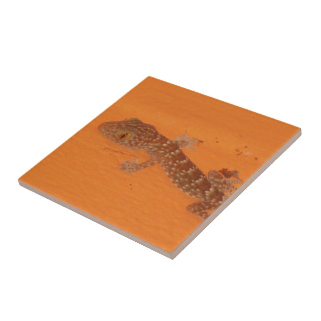 Baby Tokay Gecko Ceramic Tile (Side)