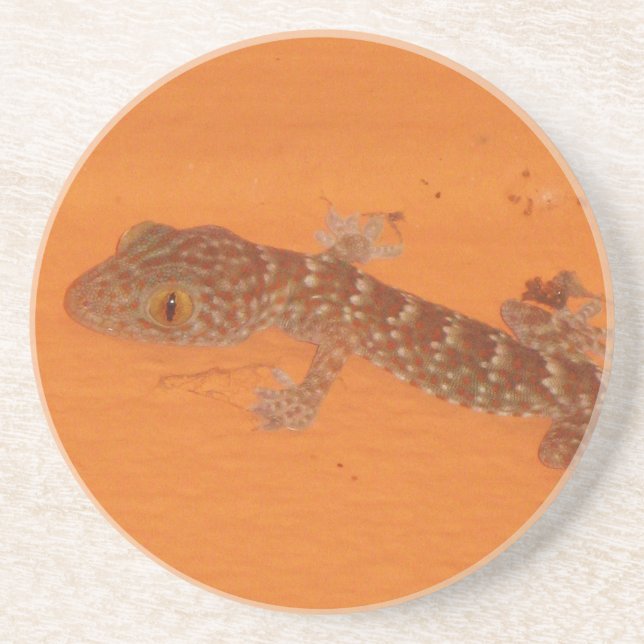 Baby Tokay Gecko Coaster (Front)