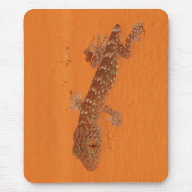 Baby Tokay Gecko Mouse Pad (Front)