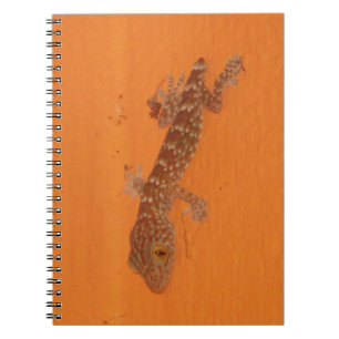Baby Tokay Gecko Notebook