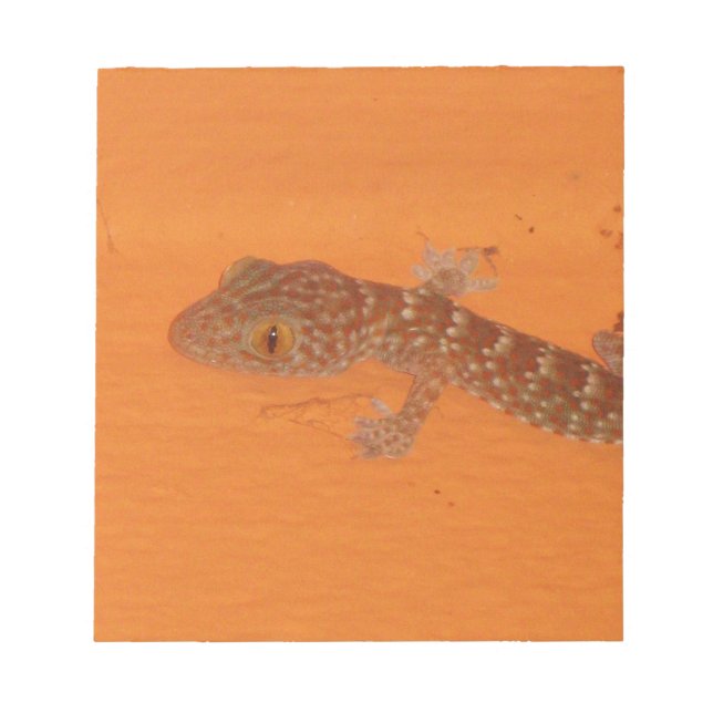 Baby Tokay Gecko Notepad (Front)
