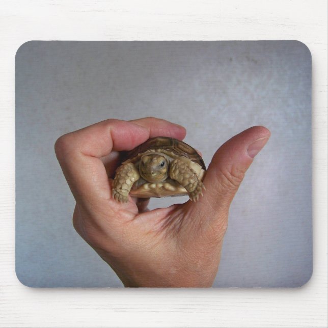 Baby Tortoise Mousepad (Front)