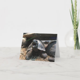 baby tortoise notecard (congratulations)