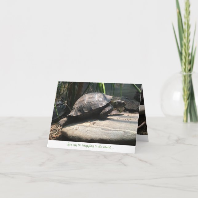 baby tortoise notecard (encouragement) (Front)
