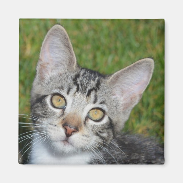 Baby Trinity Magnet (Front)