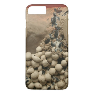 Baby Turtle Eggs Hatching iPhone 8 Plus/7 Plus Case