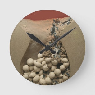 Baby Turtle Eggs Hatching Round Clock