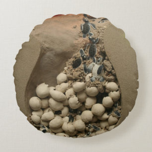Baby Turtle Eggs Hatching Round Cushion