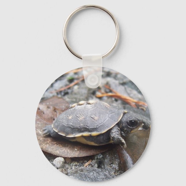 baby turtle key ring (Front)