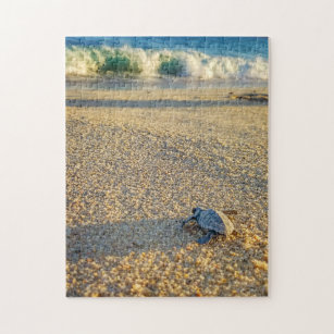 Baby Turtle walking to the Ocean in Los Cabos Jigsaw Puzzle