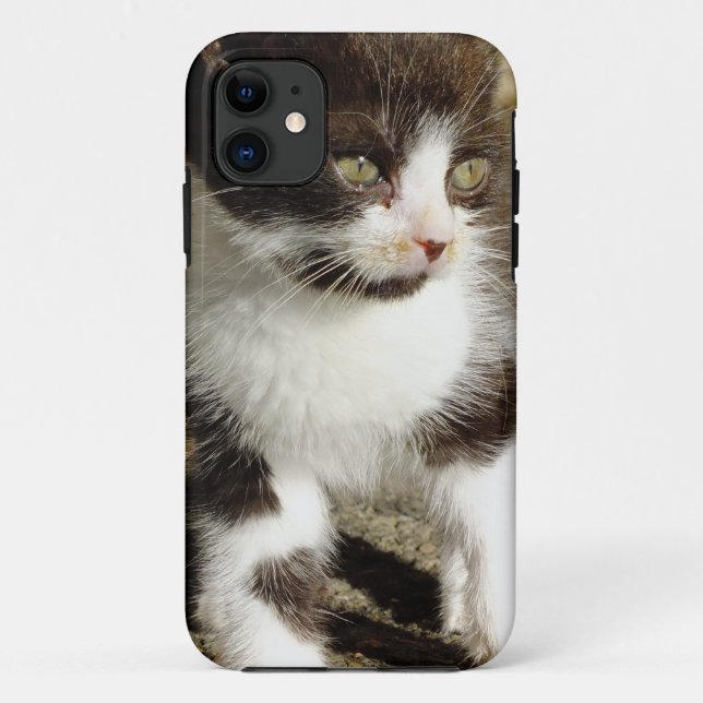 Baby Tuxedo Kitten - Cat iPhone 5 Case (Back)