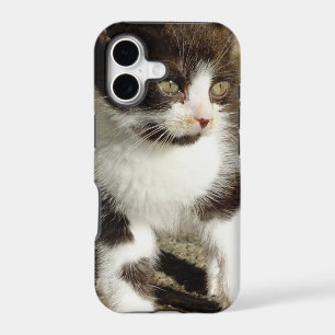Baby Tuxedo Kitten - Cat iPhone 5 Case