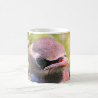 Baby Waxwing Bird Face Nature Personalised