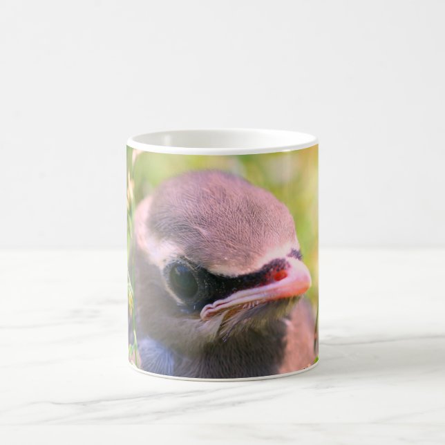 Baby Waxwing Bird Face Nature Personalised Coffee Mug (Center)