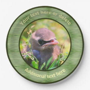 Baby Waxwing Bird Nature Personalised Party  Paper Plate