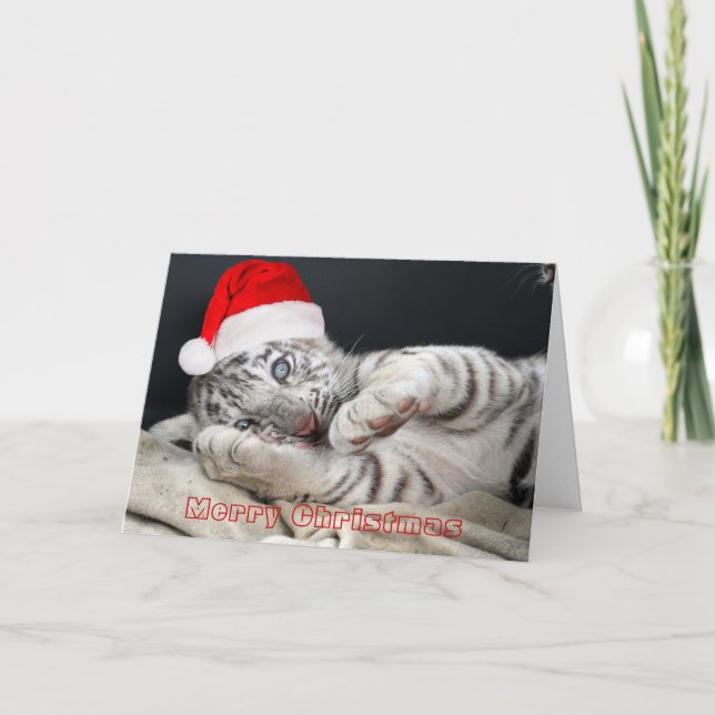 baby white bengal tiger with christmas hat holiday card (Front)