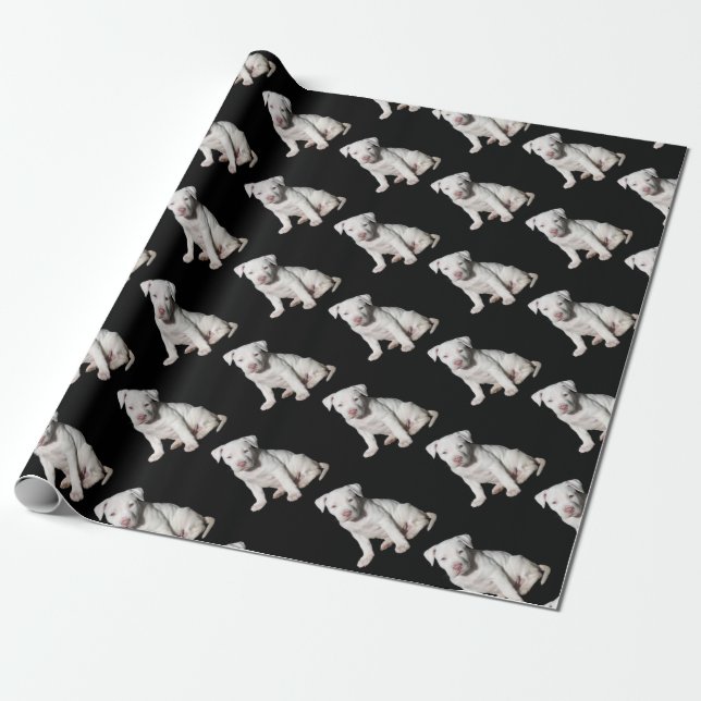 Baby White Pitbull Puppy Wrapping Paper (Unrolled)