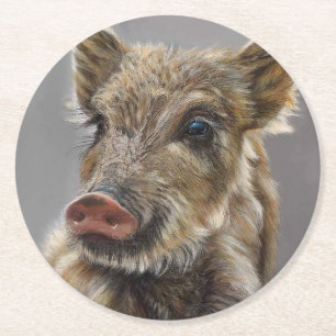 Baby Wild Boar Coaster