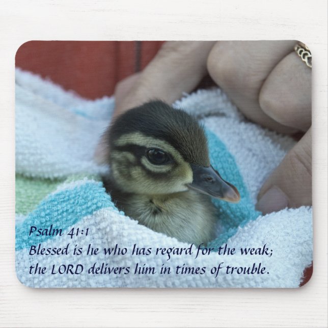 Baby Wood Duck Mouse Pad (Front)