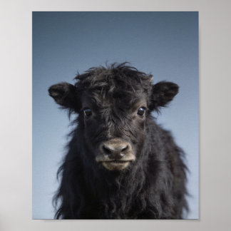 Baby Yak Portrait – Cute Nursery Animal Wall Art