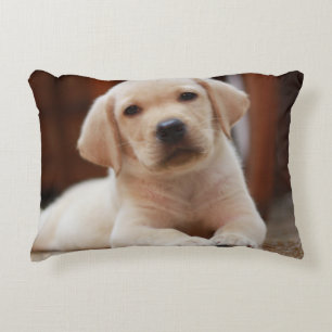 Baby Yellow Labrador Puppy Dog laying on Belly Decorative Cushion