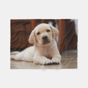 Baby Yellow Labrador Puppy Dog laying on Belly Fleece Blanket